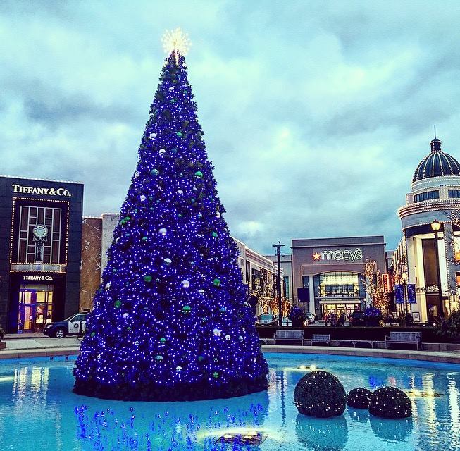 15178235_10210966791434230_8944985464255619841_n