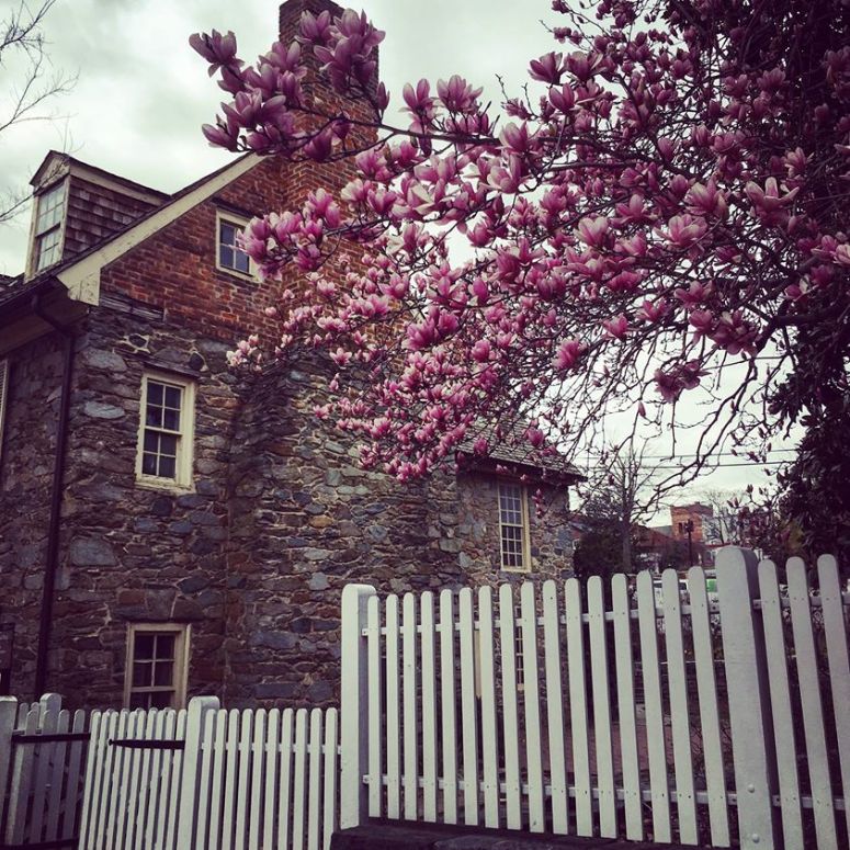 17239740_10212020193088613_6730670822713394270_o