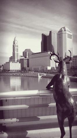 10003523_10208620990510673_8203324696511061387_n